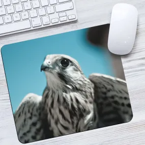 Baby Peregrine Falcon Mousepad