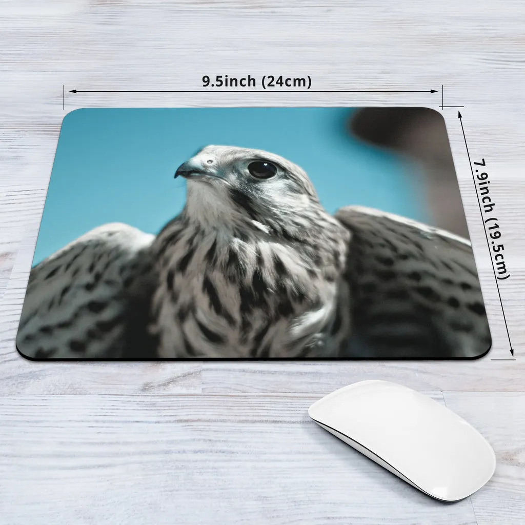 Baby Peregrine Falcon Mousepad