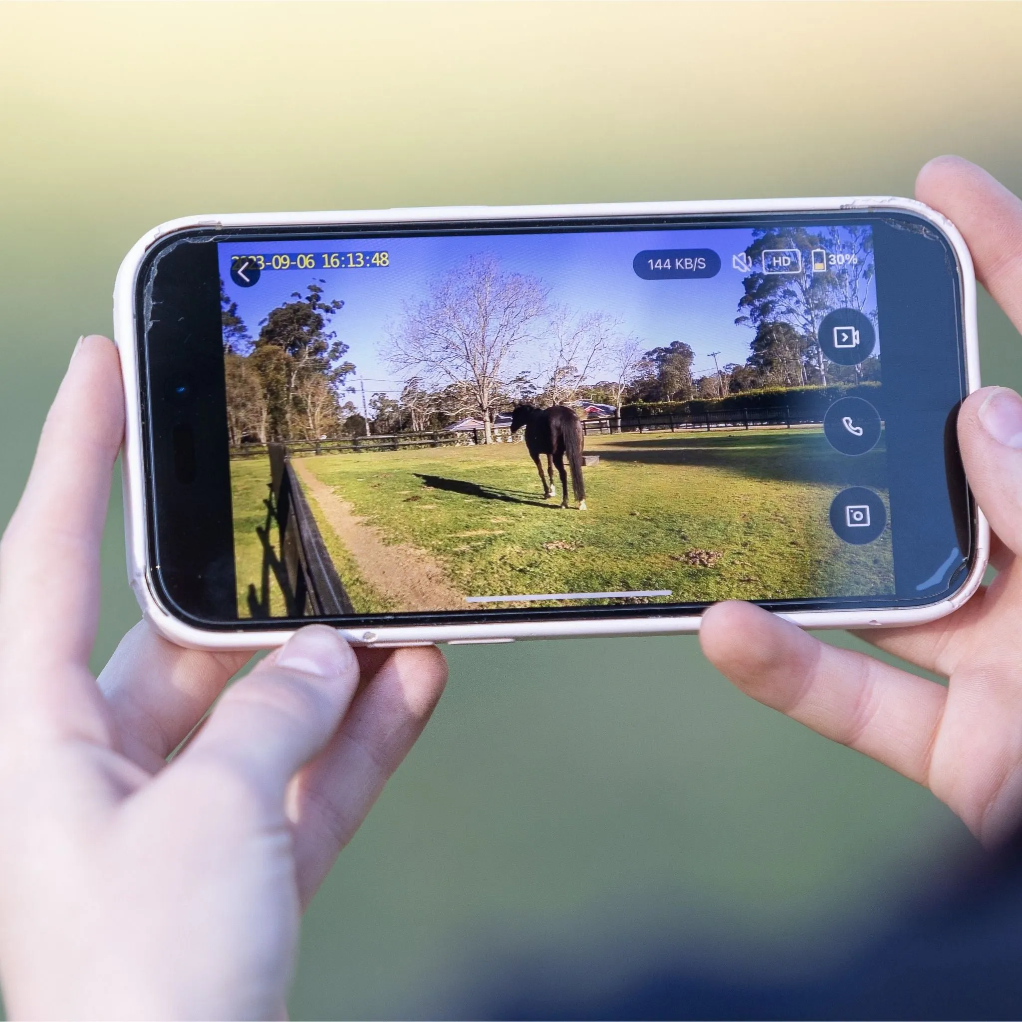 Equine Eye Vision Camera