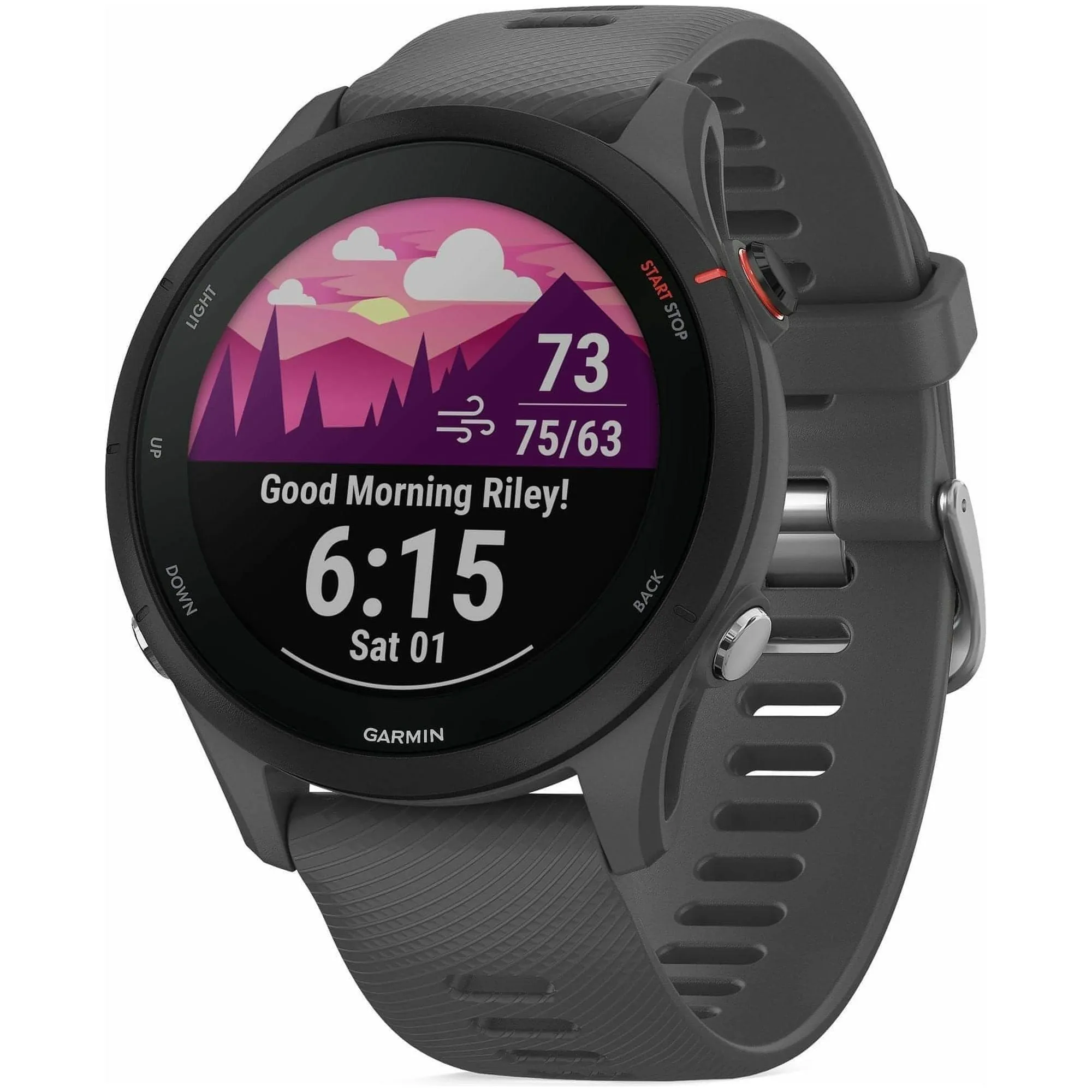 Garmin Forerunner 255 HRM With GPS Watch - Grey