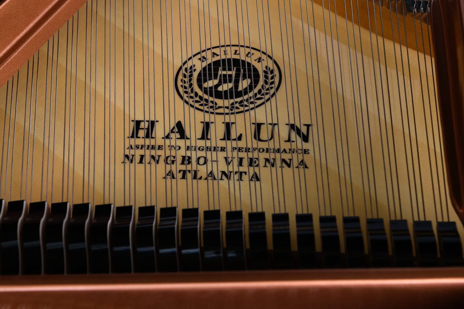 HAILUN HG161 (5'3")