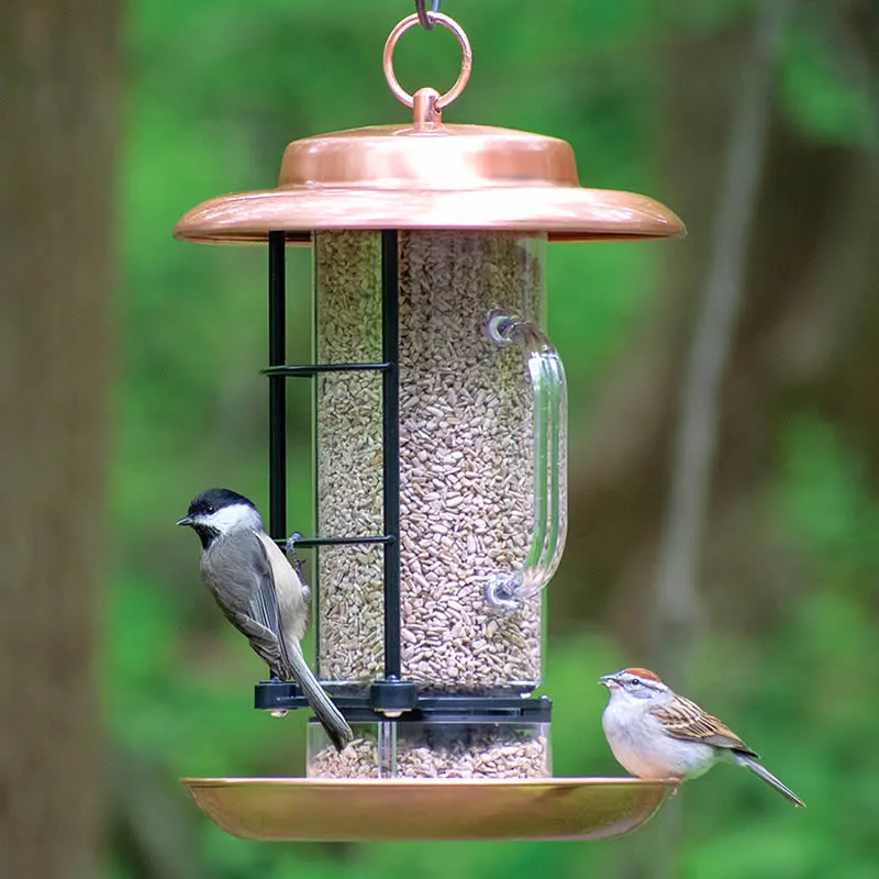 Metal Combination Hopper & Seed Scoop Feeder