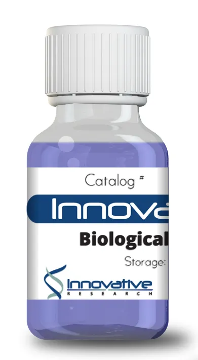 Mouse Cathepsin B Recombinant Protein C-6 His Tag Lyophilized