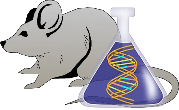 Mouse Factor IX Genetically Deficient Kidney Tissue Lysate