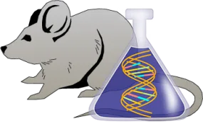 Mouse Factor IX Genetically Deficient Kidney Tissue Lysate