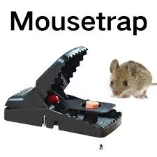 Plastic Mouse Catcher/Trapper