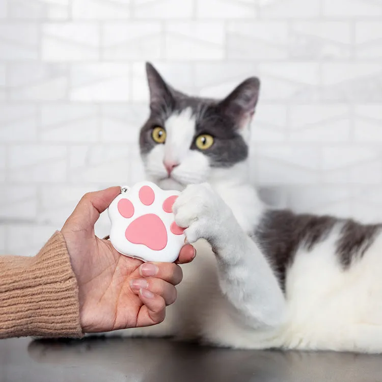 Rechargeable Laser Toy - Paw